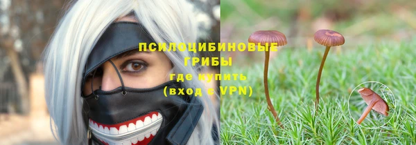 mdma Богородицк