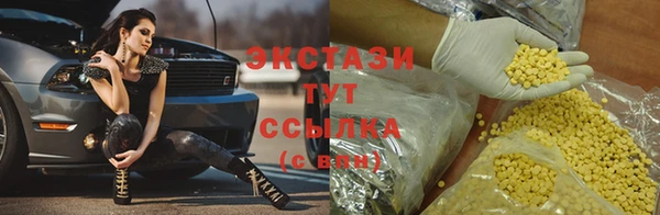мдпв Богородск