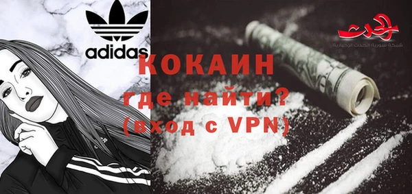 мдпв Богородск