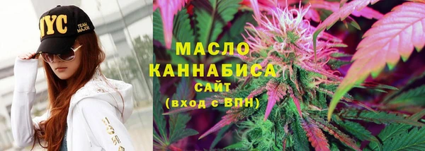 мдпв Богородск