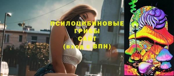 винт Богданович