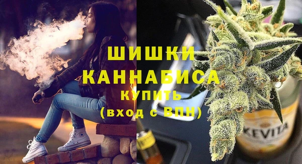 мдпв Богородск