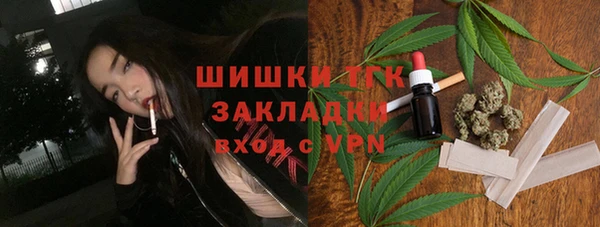 мдпв Богородск