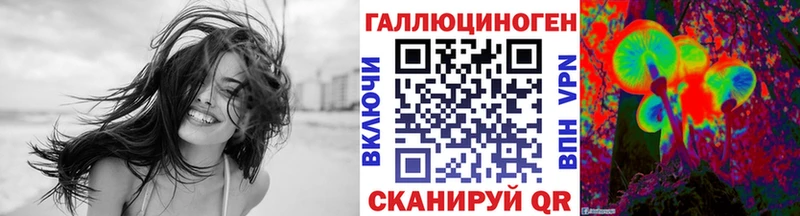 где можно купить наркотик  Кудрово  Галлюциногенные грибы MAGIC MUSHROOMS 